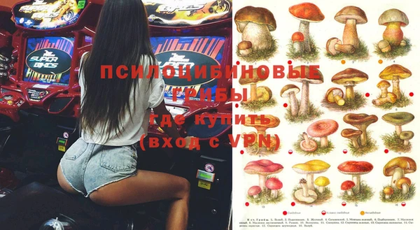 мяу мяу мука Абдулино