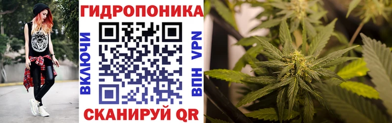 Конопля сатива Сергач